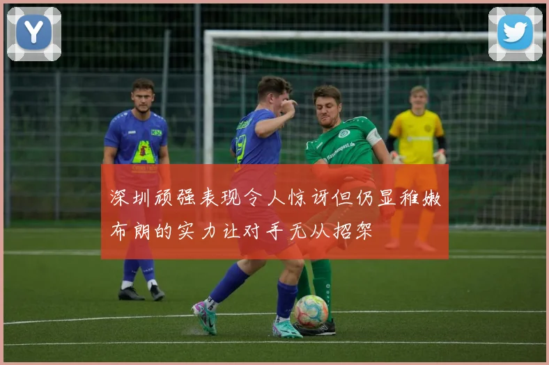 深圳顽强表现令人惊讶但仍显稚嫩布朗的实力让对手无从招架